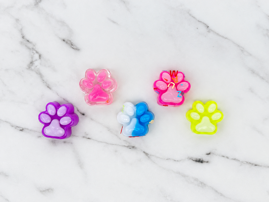 Tiny Toe Beans – Mini patte imprimée Taba Squish 🐾
